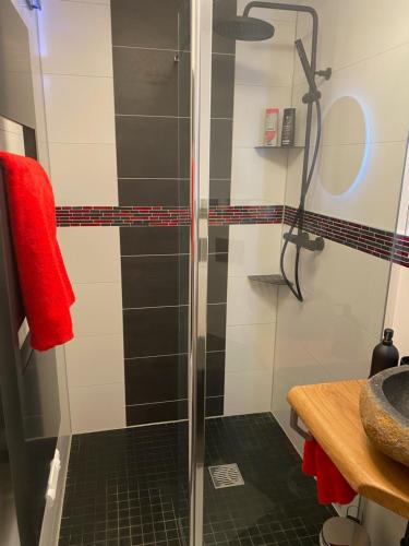 a shower with a glass door in a bathroom at Ferienwohnung sentio-comfortable Saalfeld in Saalfeld