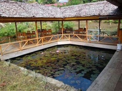 a pool of water with a house with a roof at Ue Datu Cottages in Tentena