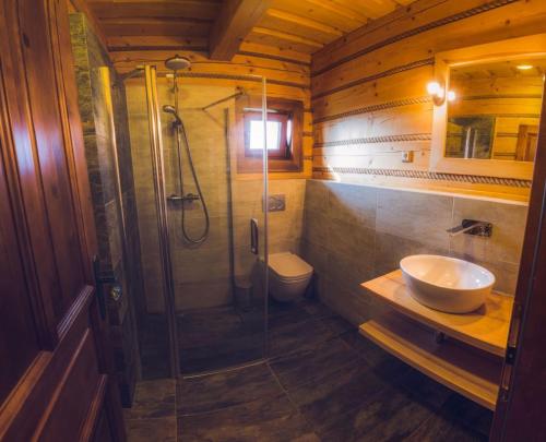 a bathroom with a shower and a sink and a toilet at Koliba Holica in Huty