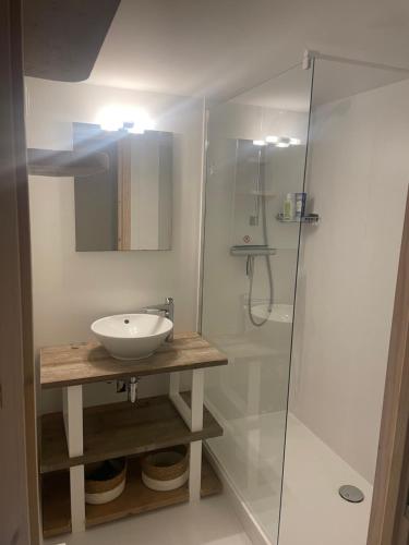 a bathroom with a sink and a shower at Vakantiewoning op Natuurterrein t Heuvelhof met optioneel hottub en sauna in Heuvelland