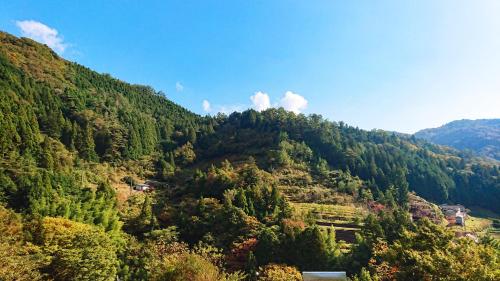 a view of a mountain with trees on it at Washi Studio Kamikoya in Yusuhara