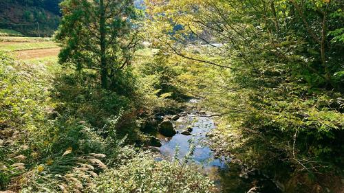 a river in the middle of a field with trees at Washi Studio Kamikoya in Yusuhara