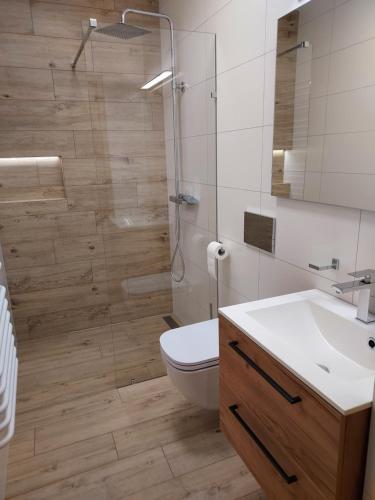 a bathroom with a shower and a toilet and a sink at Noclegi nad Czarną Orawą in Podwilk