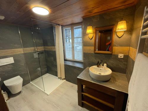 ein Bad mit einer Dusche, einem Waschbecken und einem WC in der Unterkunft Family B&B Le Vieux Chalet in Chateau-d'Oex