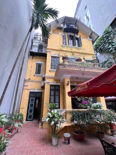 a yellow building with a palm tree in front of it at French-styled house in Hanoi