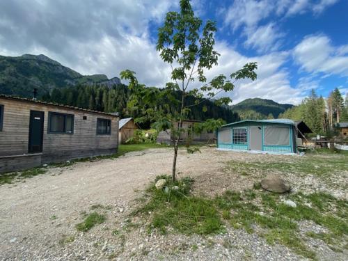 a small tree in a yard next to a house at Eirl DOLOMITES Retreat Sappada in Sappada