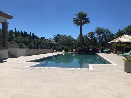 a swimming pool in a yard with a palm tree at Luxury Zen in Châteauneuf