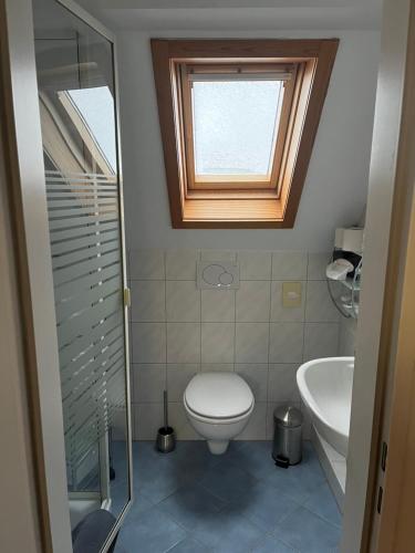 een badkamer met een toilet, een wastafel en een raam bij Landhaus Balkhausen in Nürburg