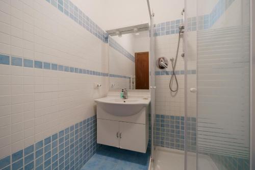 a bathroom with a sink and a shower at Appartamenti Nisportino in Nisporto