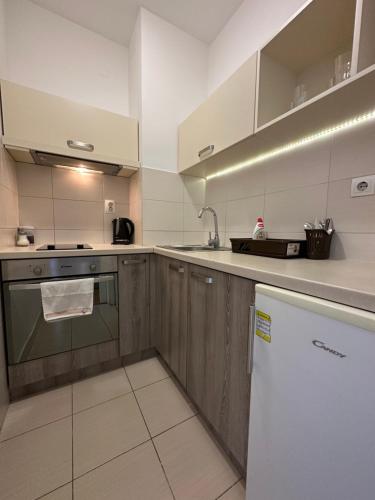 a kitchen with wooden cabinets and a white refrigerator at Nevena Belville Apartments in Belgrade