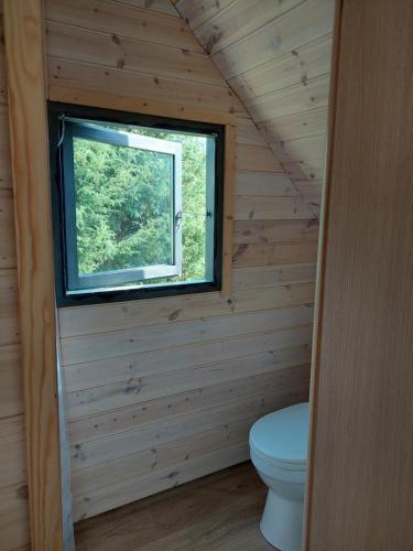 a bathroom with a toilet in a log cabin at Päikesemajake 2 in Soonlepa