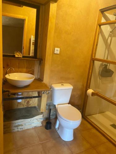 a bathroom with a toilet and a sink at Sons do Eo Apartamentos Turísticos in Baleira