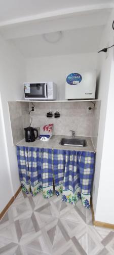 encimera de cocina con fregadero y microondas en Alojamiento Los hermanos en Ushuaia