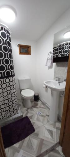 a bathroom with a toilet and a sink at Alojamiento Los hermanos in Ushuaia