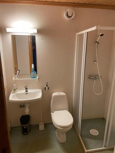 a bathroom with a toilet and a sink and a shower at Fagertoppen 6B in Trysil