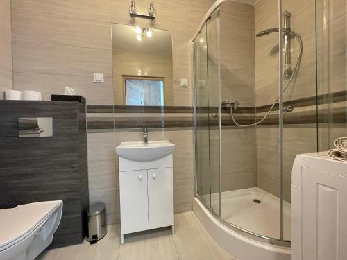 a bathroom with a shower and a sink and a toilet at Vip Apartament LAUROWA in Tyczyn