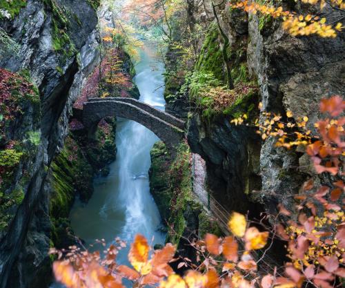 a bridge over a river in the woods at Appartement thématique: Nature Scandinave in Travers