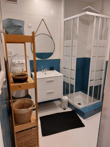 une petite salle de bain avec un lavabo et une douche dans l'établissement Appartement - Narbonne, à Narbonne