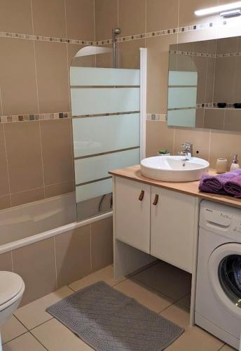 une salle de bain avec un lavabo et une machine à laver dans l'établissement Standing Presqu'île de la Lagune - Piscine - Mer & Nature, à Saint-Cyprien