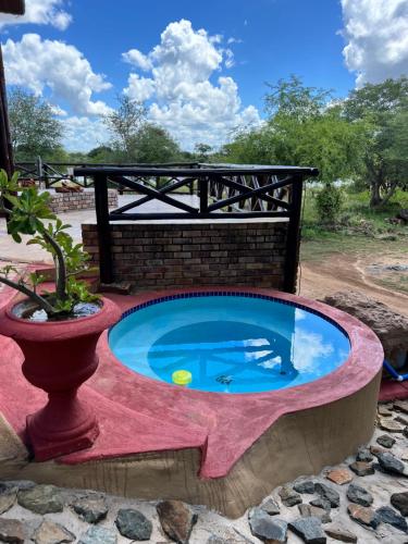 a small pool in a patio with a plant at Kruger River View in Marloth Park