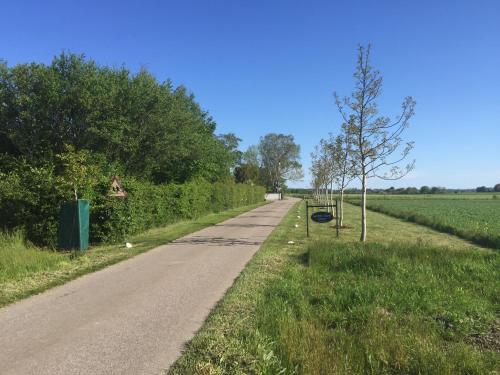 a road with a tree on the side of it at Lyckås Gårds Gästboende in Höganäs