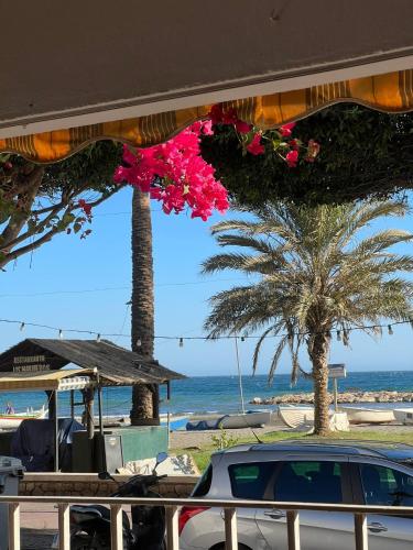 Relax , Sun And Beach