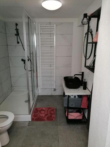 une salle de bain avec une douche, des toilettes et un lavabo dans l'établissement Apartma Pr Urarj, à Kobarid