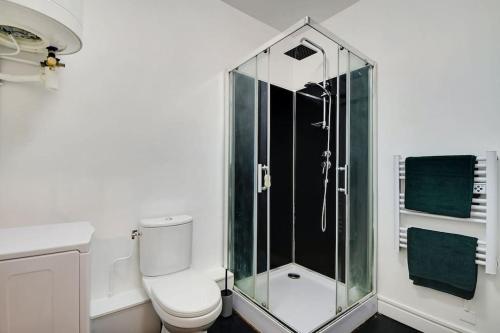 une salle de bain avec toilettes et douche en verre dans l'établissement Cosy appartement aux Portes de Paris, à Aubervilliers