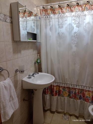 baño con lavabo y cortina de ducha en LIBERATA en Esquel