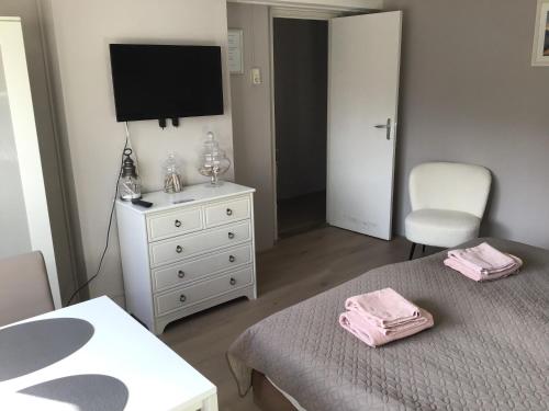 a bedroom with two beds and a tv and a dresser at Life@Sea in Zandvoort