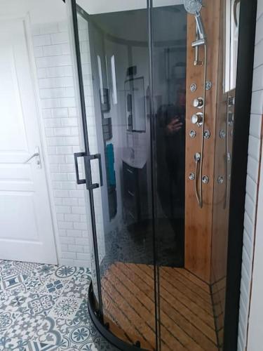a shower with a glass door in a bathroom at gite des Korrigans in Kerimel