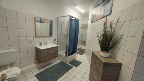La salle de bains est pourvue d'un lavabo, de toilettes et d'une douche. dans l'établissement Villa Meuselwitz, à Meuselwitz