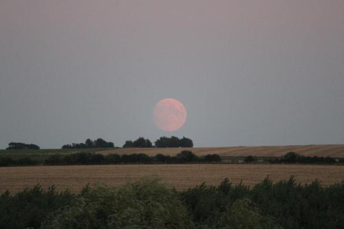 a full moon rising over a field at dusk at 14-18 Somme Chambres in Beaucourt-sur-lʼAncre