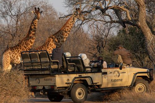 two giraffes walking behind a safari vehicle with people at Kapama Southern Camp in Kapama Private Game Reserve