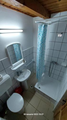 a bathroom with a toilet and a sink and a shower at Pensiunea DANA in Predeal