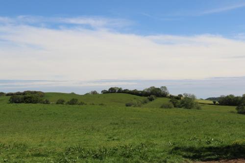 um campo verde com árvores à distância em The Old Milking Parlour at Knapp Farm em Dorchester