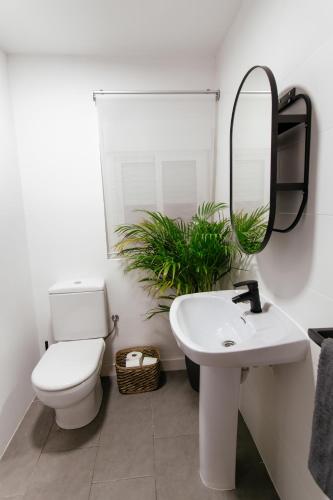 Koala Hostel