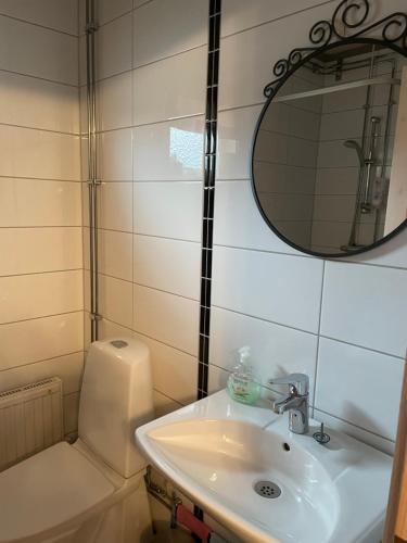 a bathroom with a sink and a mirror and a toilet at B & B Flattinge Fritidshus in Vittaryd