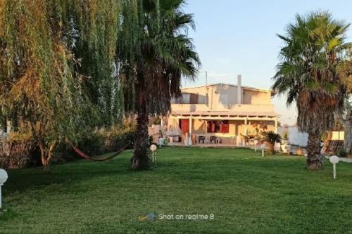 una casa con un patio con dos palmeras en Villa delle Stelle con piscina, en Leverano