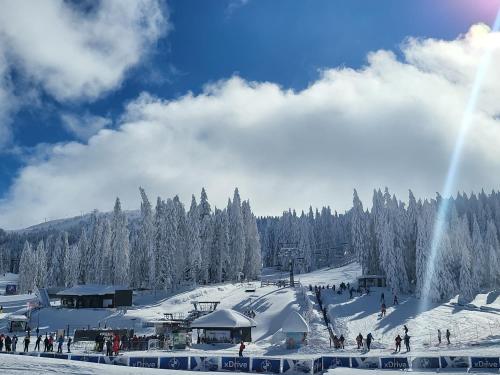 a group of people on a snow covered ski slope at Aparthotel Woodside by Anaya in Kopaonik