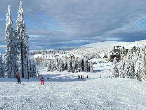 a group of people skiing down a snow covered slope at Aparthotel Woodside by Anaya in Kopaonik