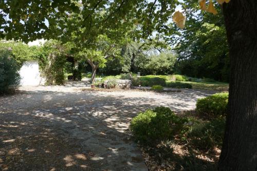 Authentic and spacious Provencal building – Photos 5