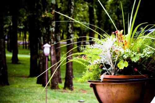 a large flower pot with plants in a park at POSTOAK Lodge and Retreat in Tulsa