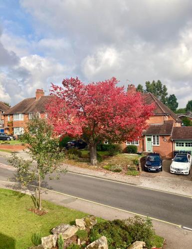 Serviced Studio in Bournville – Photos 3