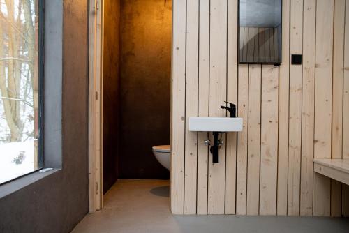 a bathroom with a sink and a toilet at VagusBouda/ &Fogo in Loučná nad Desnou