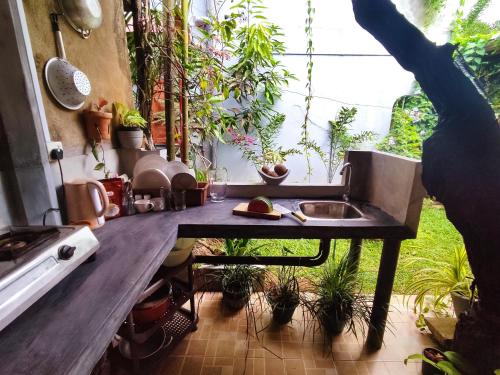 a kitchen with a sink and some plants at Mandara Rest in Hikkaduwa