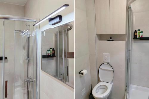a bathroom with a toilet and a shower at Green Harmony Apartment in Pale