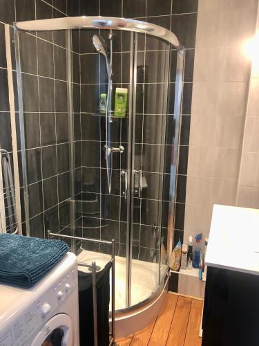 une douche dans une salle de bain avec machine à laver dans l'établissement L'Aiguillon, bel appartement hyper-centre, à Brest