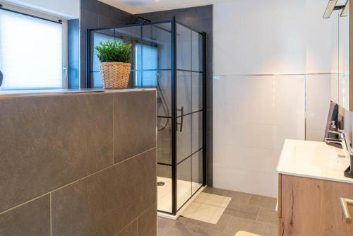 łazienka z prysznicem z rośliną na ladzie w obiekcie Kilknerblick w mieście St. Gallenkirch