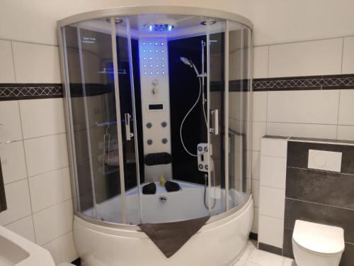 een badkamer met een douche, een bad en een toilet bij Landhotel Mariensäule in Wernstein am Inn
